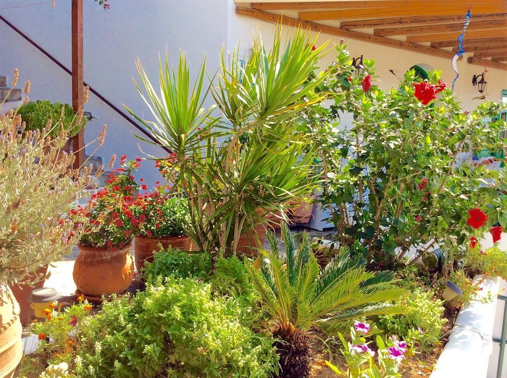 Manos Apartment Platys Gialos (Mykonos)